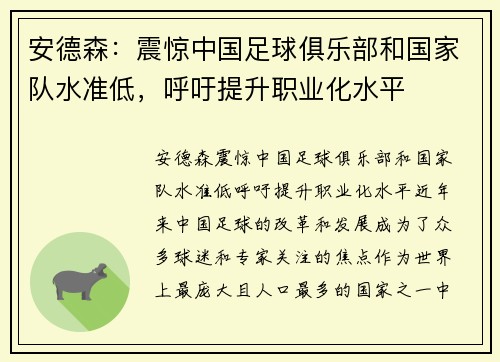 安德森：震惊中国足球俱乐部和国家队水准低，呼吁提升职业化水平
