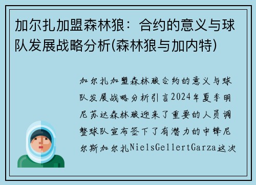 加尔扎加盟森林狼:合约的意义与球队发展战略分析(森林狼与加内特)